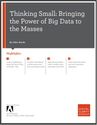 Thinking Small. Bringing the Power of Big Data to the Masses.